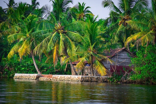 Kerala Trip 5 Nights / 6 Days
